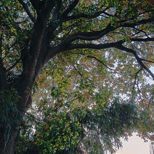 不是所有的相遇都有结局prod by kumark