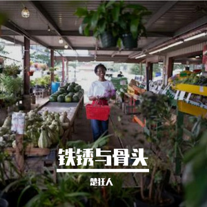 铁锈与骨头