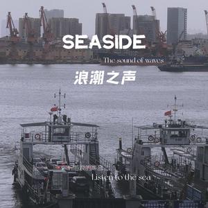 浪潮之声