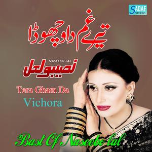 Sochiya Na Dil Laan New Punjabi Songs