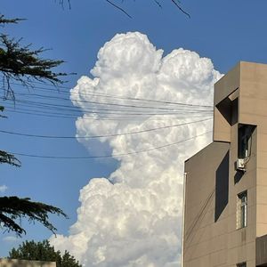 梦与叶樱（钢琴）