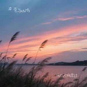 晚风吹晚霞过 (Cover 向思思)