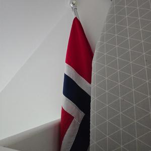 Norway don't want us