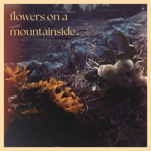 flowers on a mountainside (feat. Mitchell Matthews) (demo)