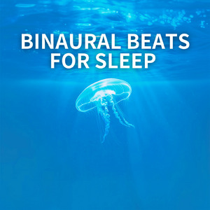 穏やかな時間旅行