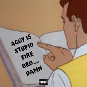 Aggy Is Stupid Fire Bro Damn