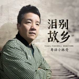 泪别故乡 (深情男声DJ阿若版)