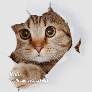 Holistic Rain Sounds