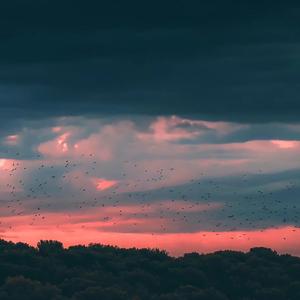 Still That Girl（依然睡公主）