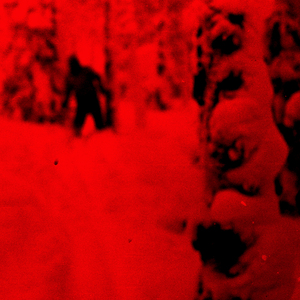 1. 1