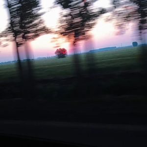 YOUNG-回答（Remix）