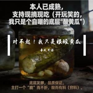 酸黄瓜的烦恼