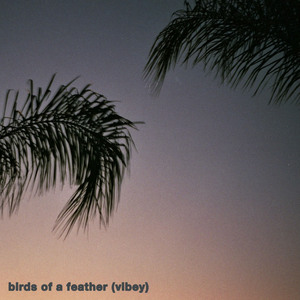 Birds of a Feather (Vibey)
