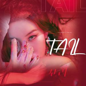 꼬리(TAIL)（翻自 宣美）
