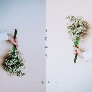 可是姑娘 (伴奏)