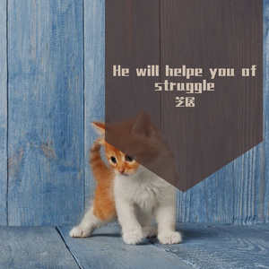 He will helpe you of struggle