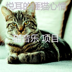 有趣小猫情怀