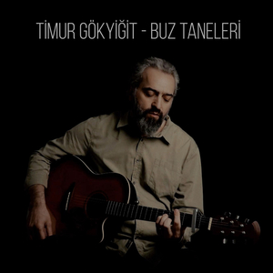 Buz Taneleri (Akustik)