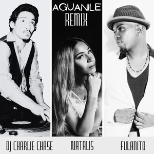 Aguanile (DJ Charlie Chase Remix - Radio Edit)