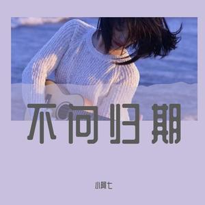 不问归期