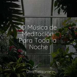 Floraciones De Los Chacras