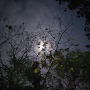 山海（翻自 群星）