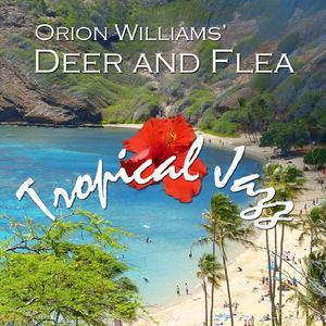 Drinking at the Stream