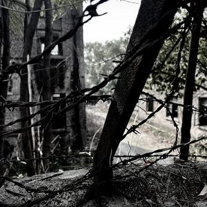 剪刀脸（prod by 潘大福）