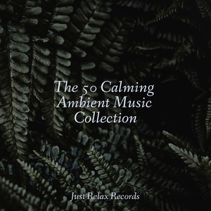 Mossy Memories Among Trees