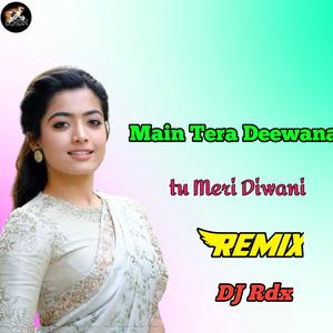 Main Tera Deewana Tu Meri Diwani Remix