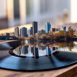 无处安放的流浪