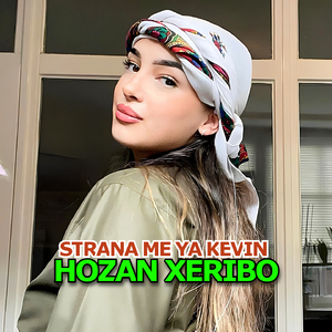 Ev Serpêhatiya Xemgîn