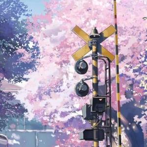 ❀樱花落下的速度是每秒五厘米❀