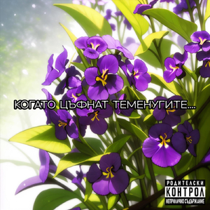 Когато цъфнат теменугите...