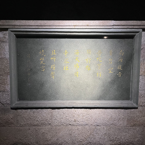 晚夜微雨问海棠