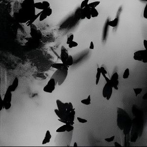 【Free】"Black Butterfly" Detroit Type Beat