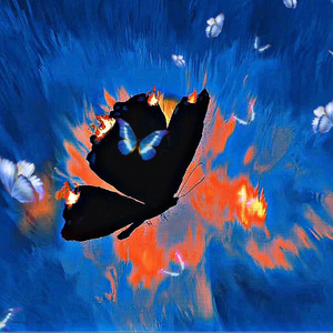 悲伤的蝴蝶（prod by Morrow）