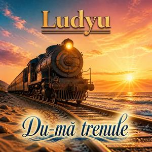 Du-mă trenule (Remix)