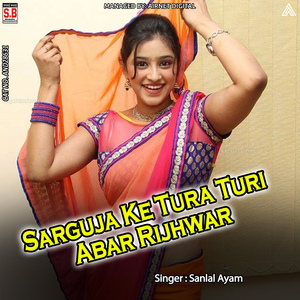 Sarguja Ke Tura Turi Abar Rijhwar - Dj