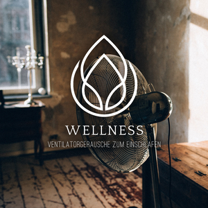 Ventilatorgeräusche