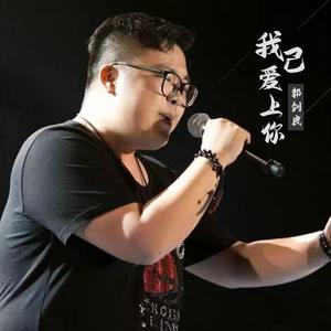 我已爱上你 伴奏