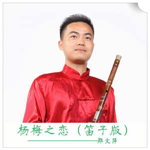 杨梅之恋 (笛子版)