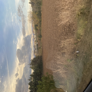 ARAGMA STON AI GIWRGH