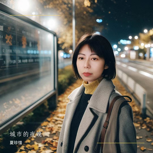 城市的夜晚