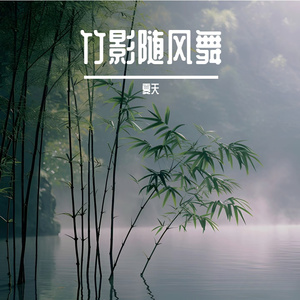 竹影随风舞