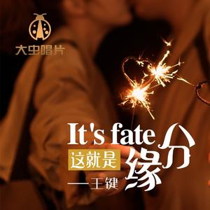 这就是缘分 (伴奏)