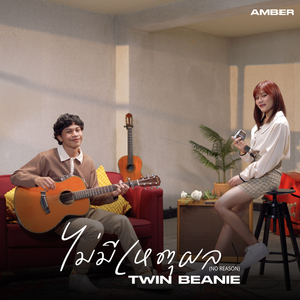 ไม่มีเหตุผล(No Reason)