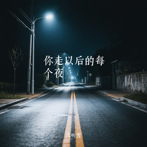 你走以后的每个夜