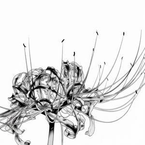 How boutcha get it all back?