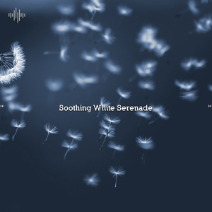 Loopable Rain Sounds